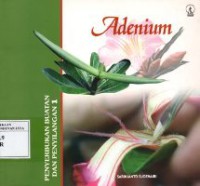 Adenium : Penyerbukan Buatan dan Penyilangan 1