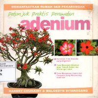 Petunjuk Praktis Perawatan Adenium