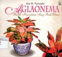 Aglaonema : Pesona Kecantikan Sang Ratu Daun