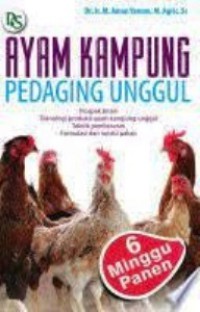 Ayam Kampung Pedaging Unggul