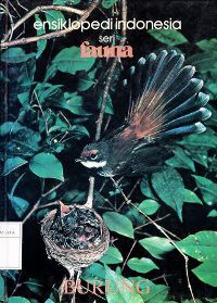 Image of Ensiklopedi Indonesia Seri Fauna : Burung