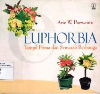 Euphorbia : Tampil Prima dan Semarak Berbunga