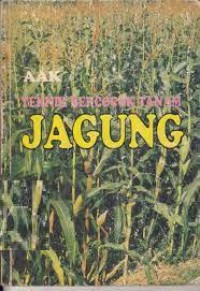 Teknik Bercocok Tanam Jagung