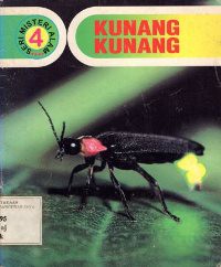 Kunang-Kunang