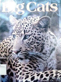 Big Cats